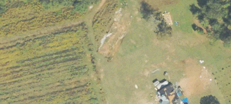 300 Carson Segars Rd