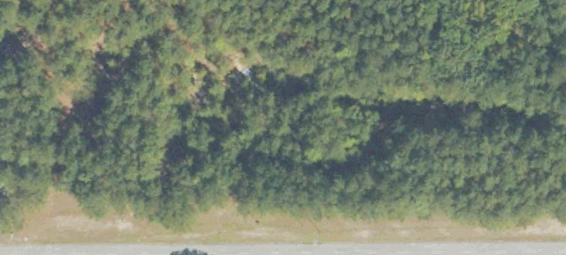 Shannon Pkwy