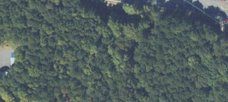 Chastain Rd
