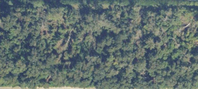 Valdosta, GA 31601