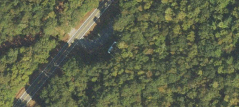 Hamilton, GA 31811