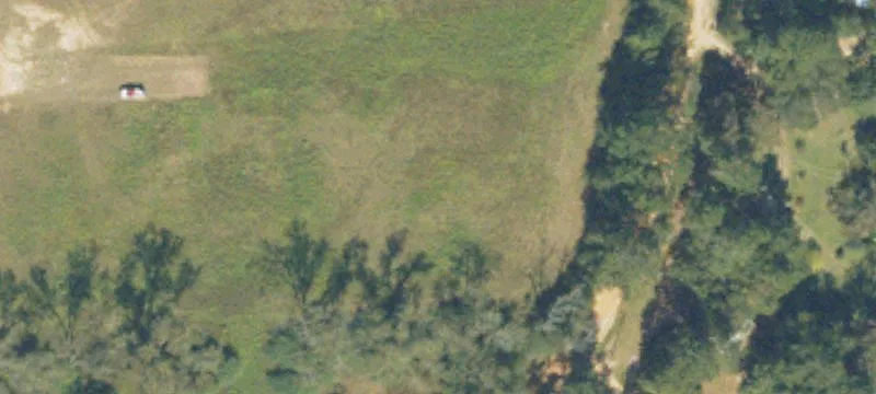 Singletary Rd