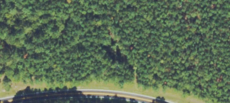 Howard Lewis Rd