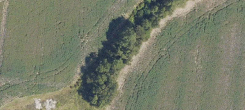 167 Steel Rd