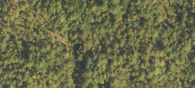 Hamilton, GA 31811