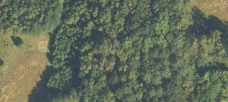 Palmetto, GA 30268