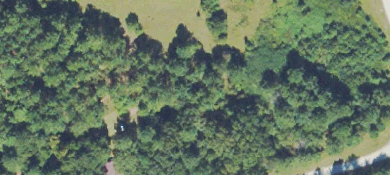 Hodges Jackson Dr