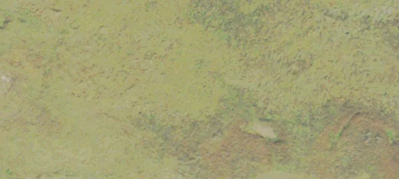 Ivey, GA 31031