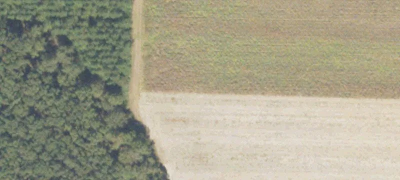 25137 Ga Hwy 39