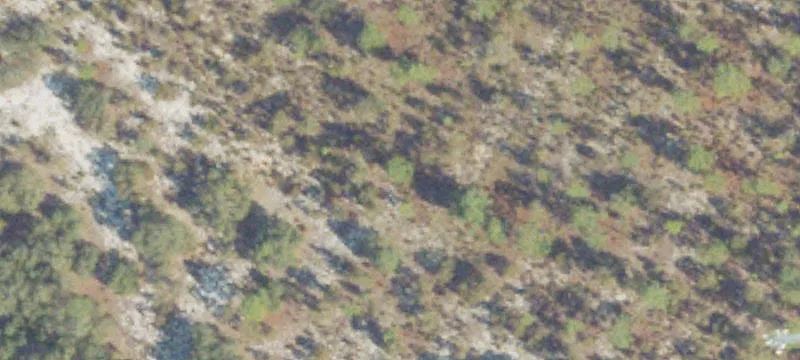 I 16