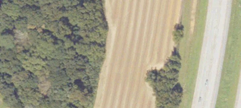 1008 Taylor Rd