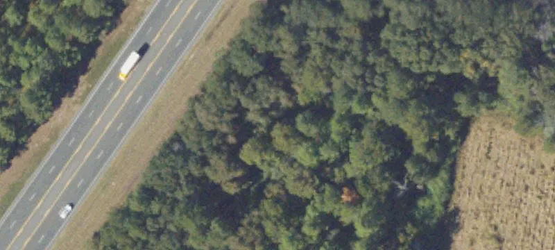 Us Hwy 319th S