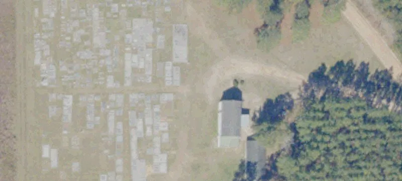 Screven, GA 31560
