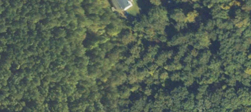 Pinewood Dr
