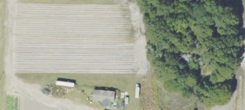 378 Tom Mccall Rd