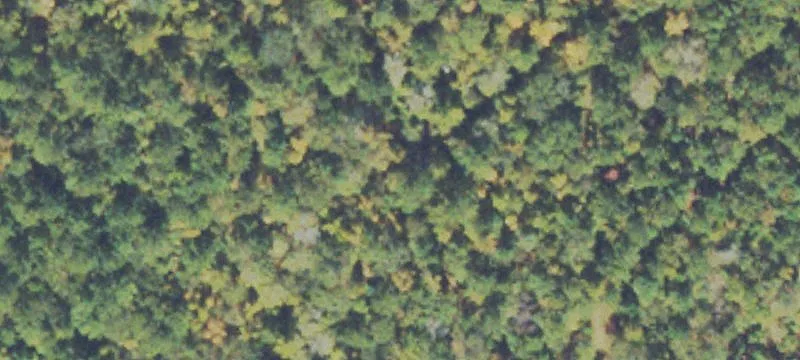 2000 Jefferson St