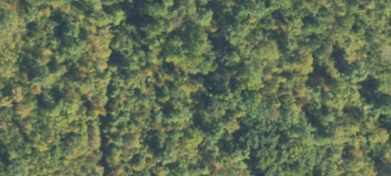 Cloudland Park