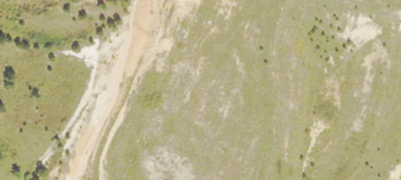 Norton Tract, GA
