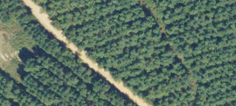 Alamo, GA 30411
