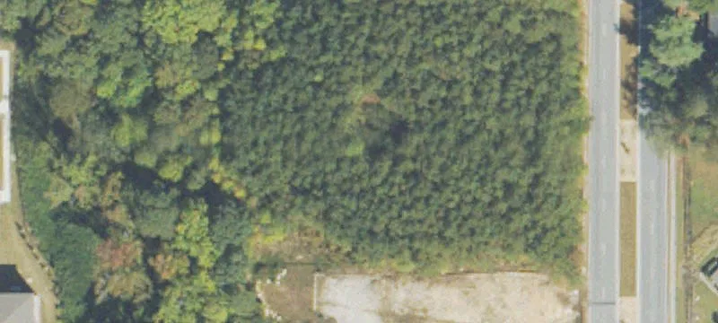 Shannon Pkwy
