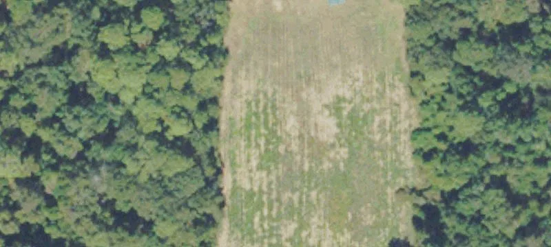Hinesville, GA 31313