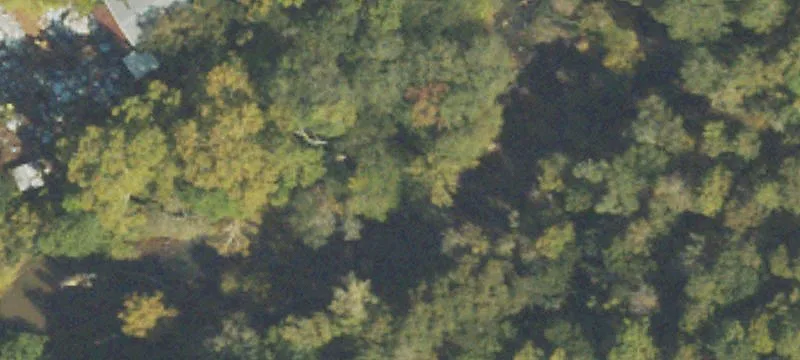 Hamilton, GA 31811
