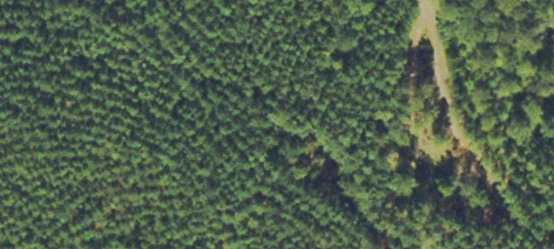 Macedonia Rd