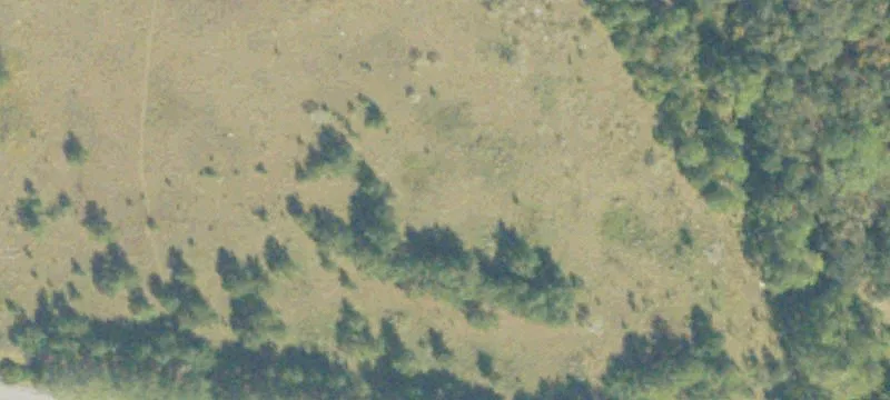 Eastman, GA 31023