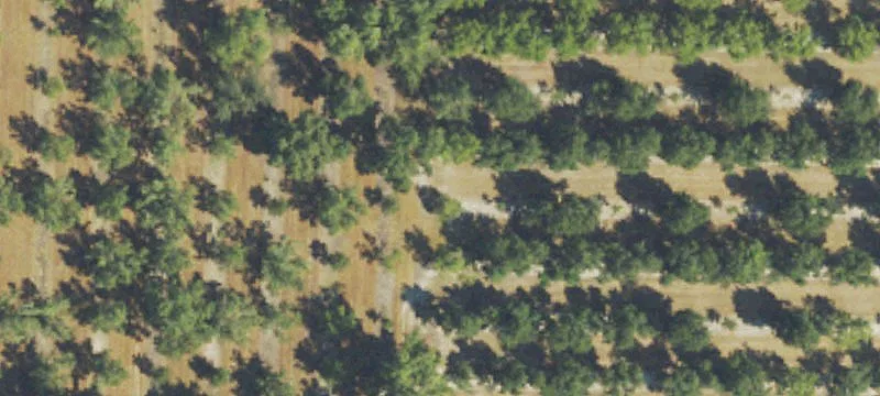 Haley Dr