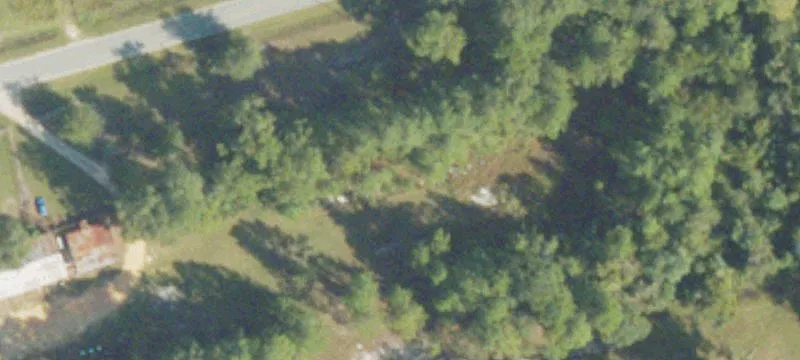 577 Blackshear Hwy