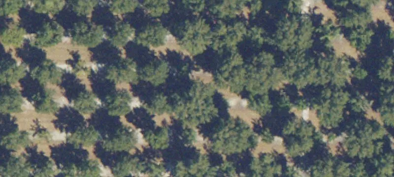 Alapaha, GA 31622