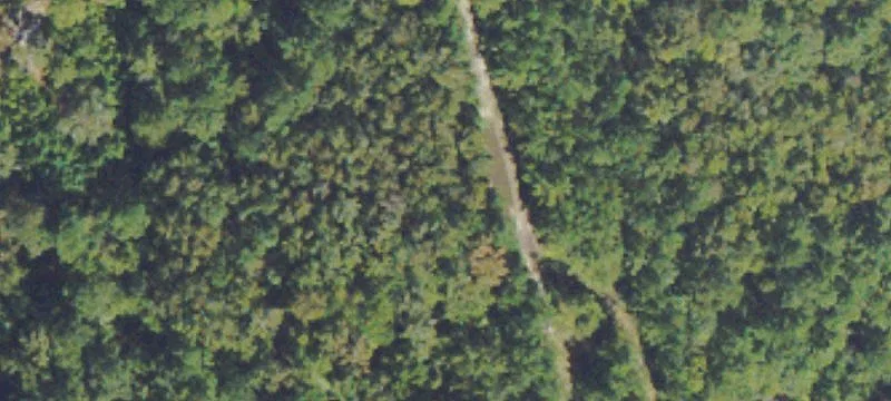 Brigdon Roots Rd