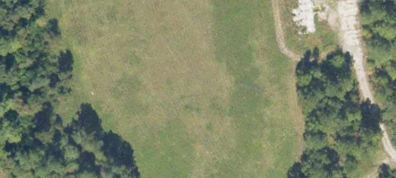 Pelham, GA 31779