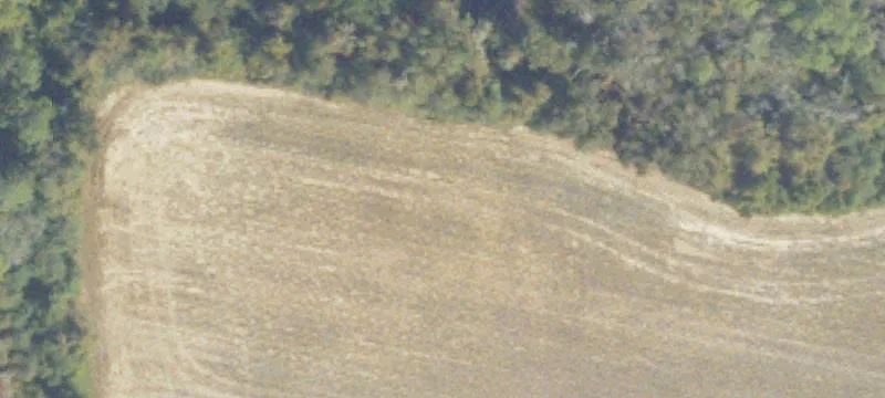 Enigma, GA 31749