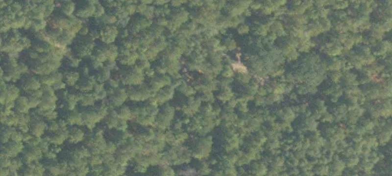 Bainbridge, GA 39817