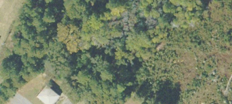Reidsville, GA 30453