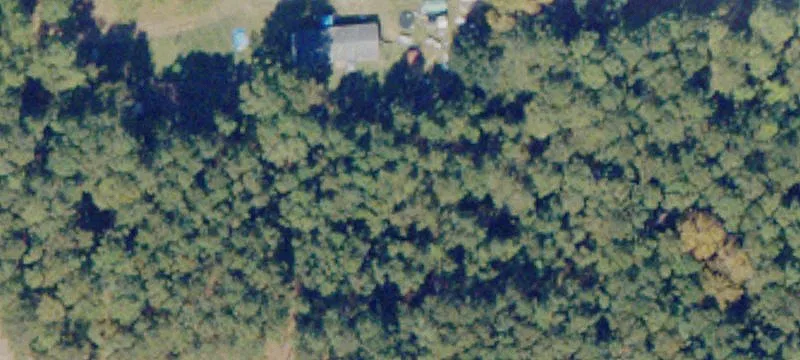 Reidsville, GA 30453