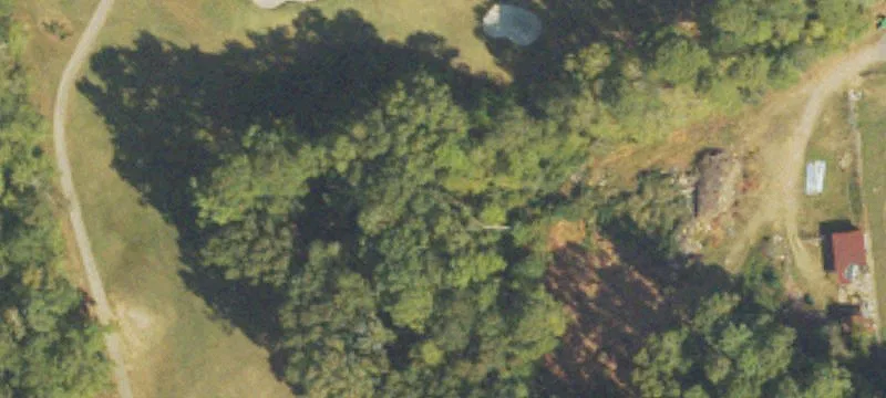 Hamilton, GA 31811