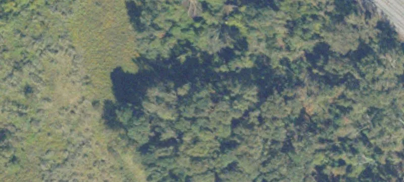 Valdosta, GA 31601