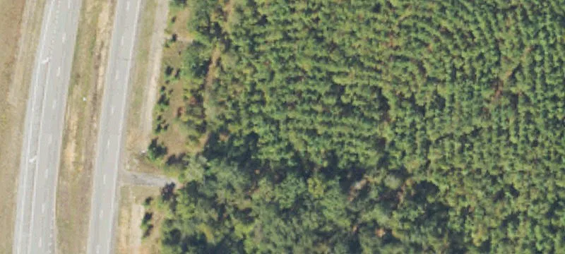 Cuthbert, GA 39840