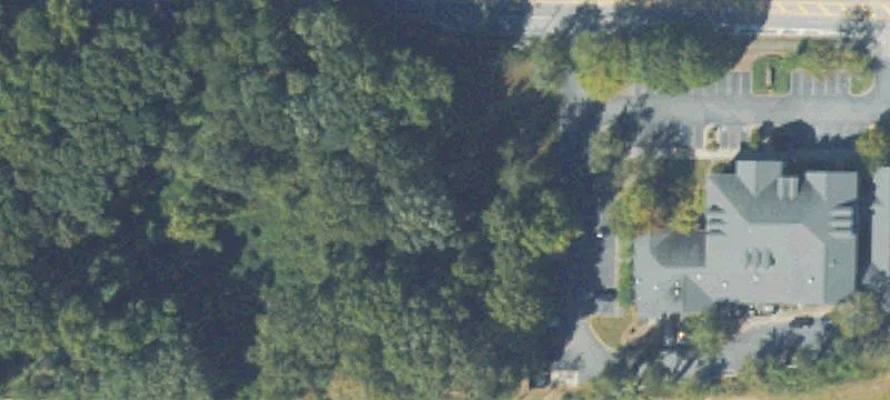 Allen Rd