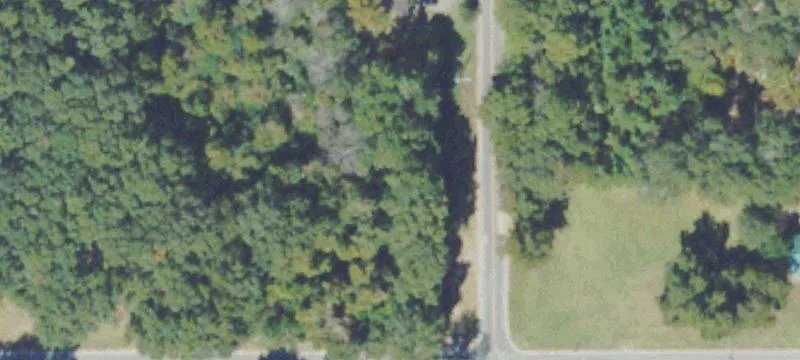 Olliff St
