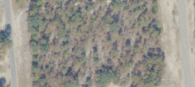 Reidsville, GA 30453