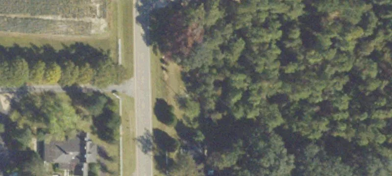 12986 Moultrie Hwy