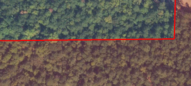 Peachtree Cors