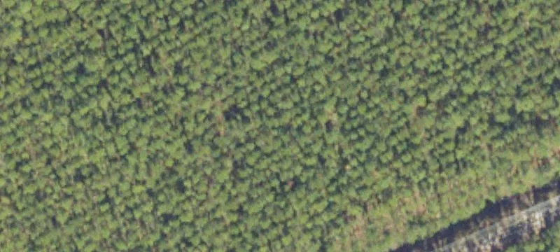 Homerville, GA 31634