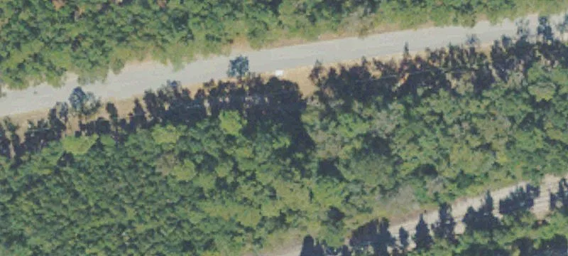 Ellabell, GA 31308