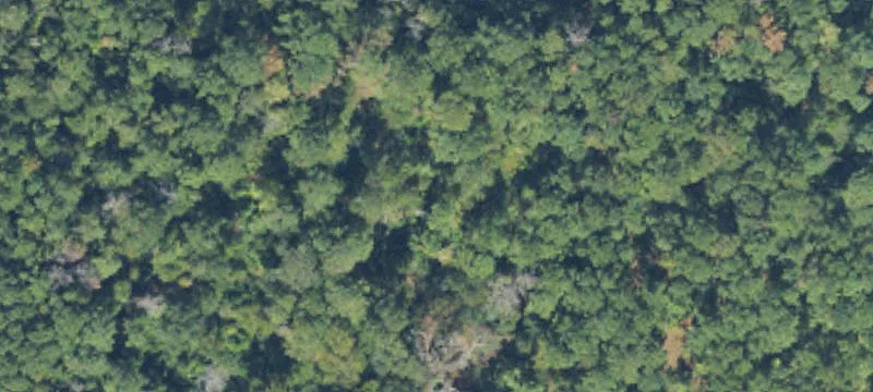Landlocked Parcel