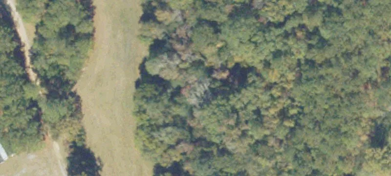 Chester, GA 31012