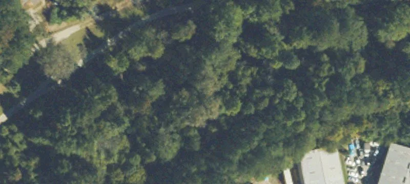 Buxton Ct